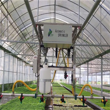 Bùng nổ tưới tiêu nhà kính vườn ươm Singapore